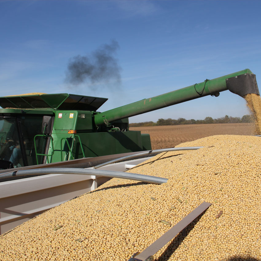 Grain Handling