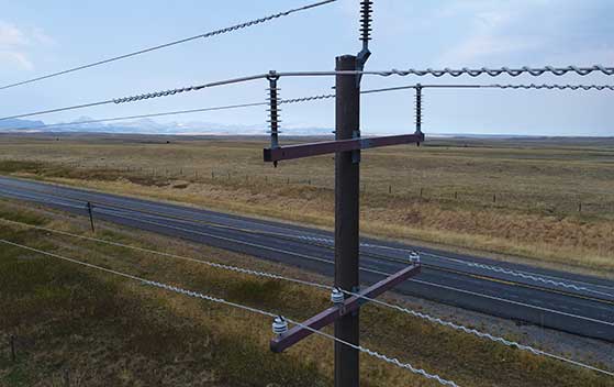Triplex Utility Pole Example Shakespeare Home