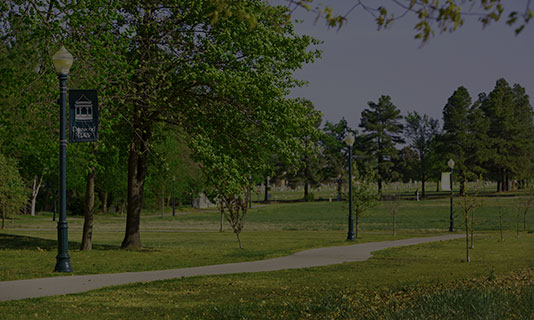 Sports Light Poles