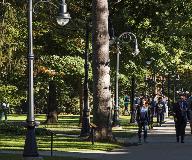 whatley_co50-campus-composite-light-poles