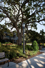 whatley-co50-octagonal-park-bench-light-pole