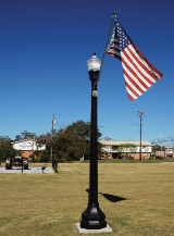 whatley-co50-octagonal-park-pole