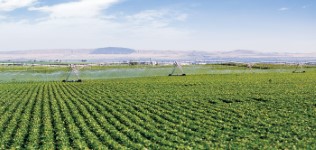 valley vri prescriptions