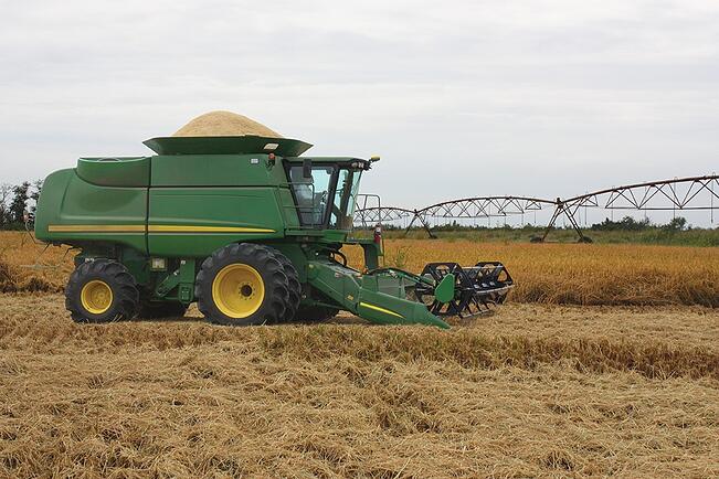 Hulshof-RiceTec_Harvest_2010_0014.jpg