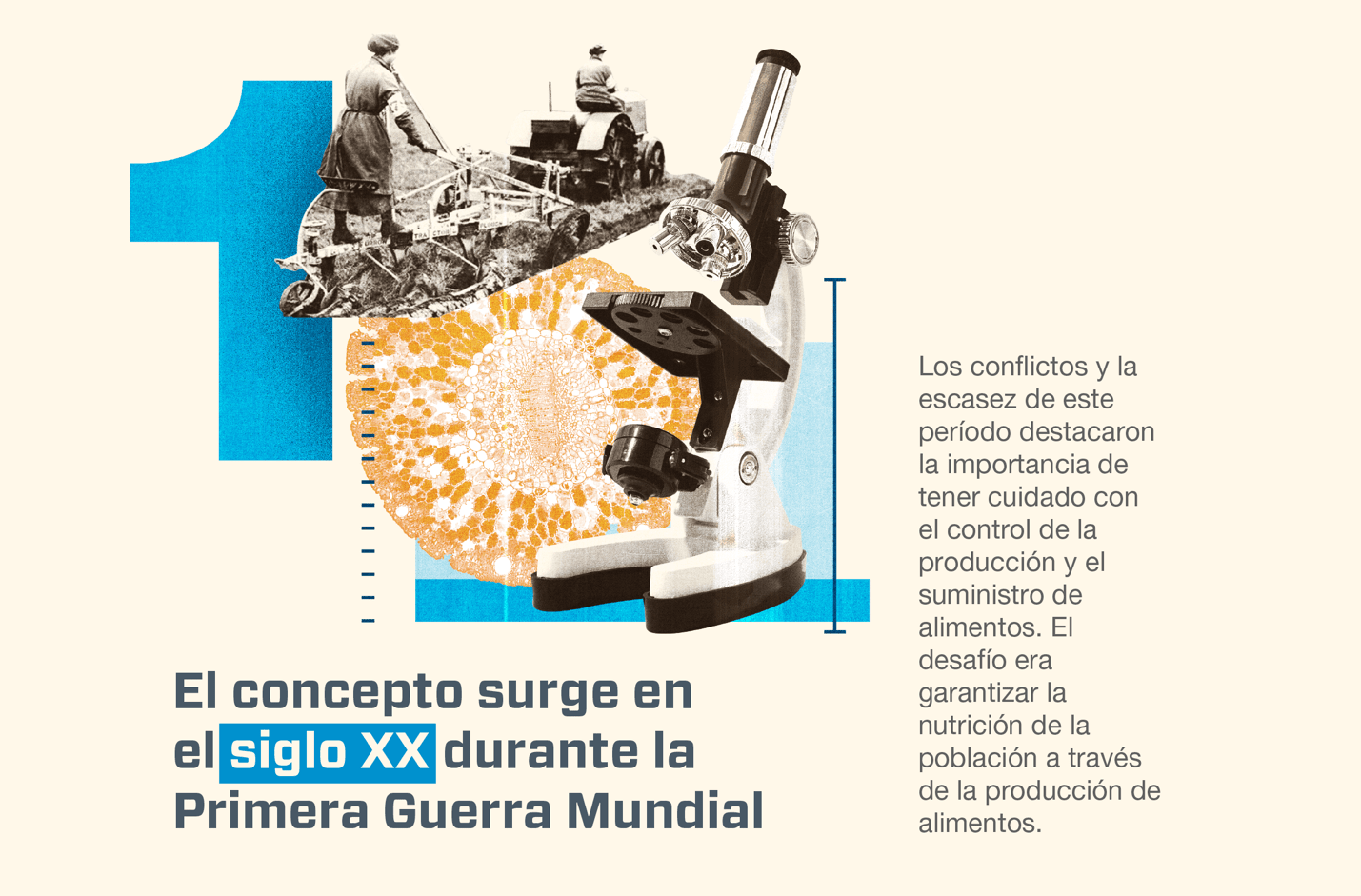 Cinco datos que no sabías sobre la seguridad alimentaria