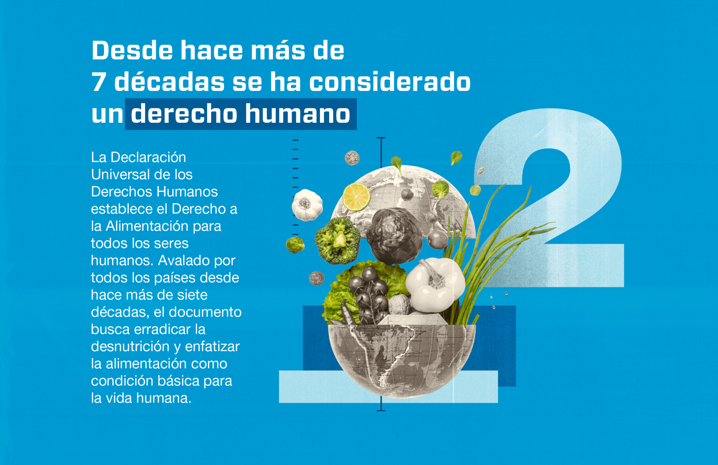 Cinco datos que no sabías sobre la seguridad alimentaria