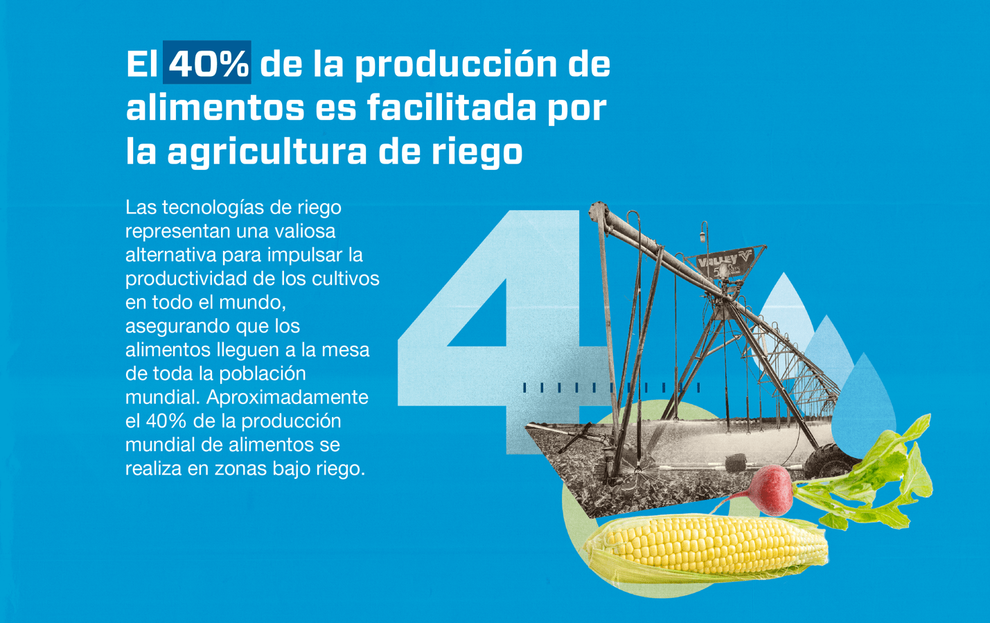 Cinco datos que no sabías sobre la seguridad alimentaria