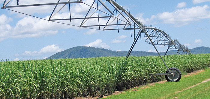 valley sugarcane irrigation solutions