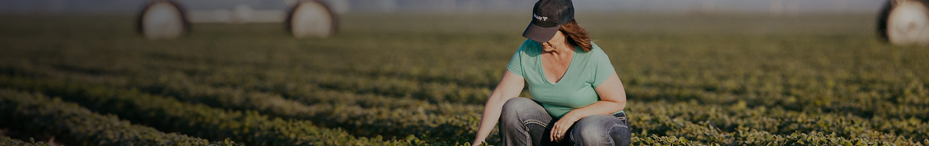valley promotions for growers