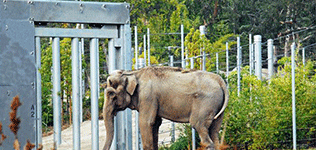 Recreation and Entertainment image