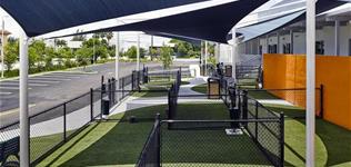 Duplex Coating image