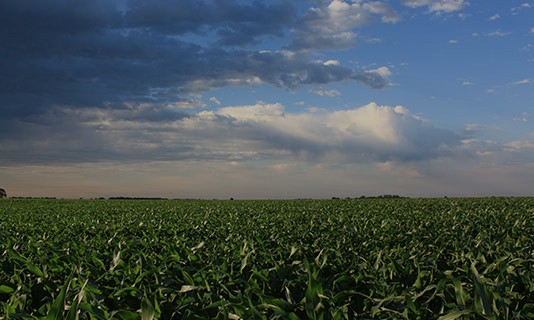 agsense weather monitoring