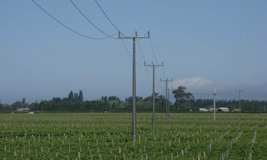 distributions-poles
