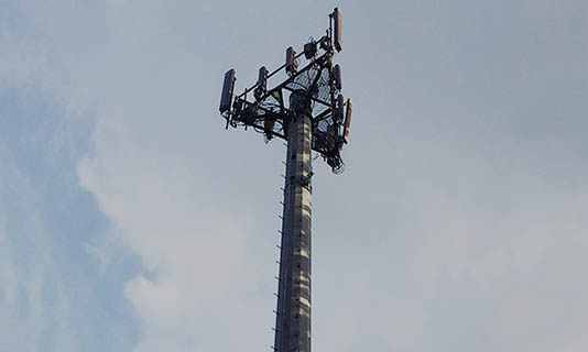 monopole