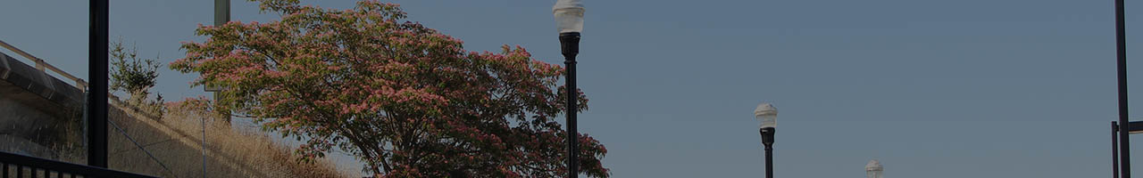 smart-pole-banner