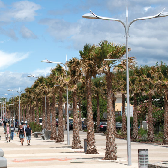 Palm'line