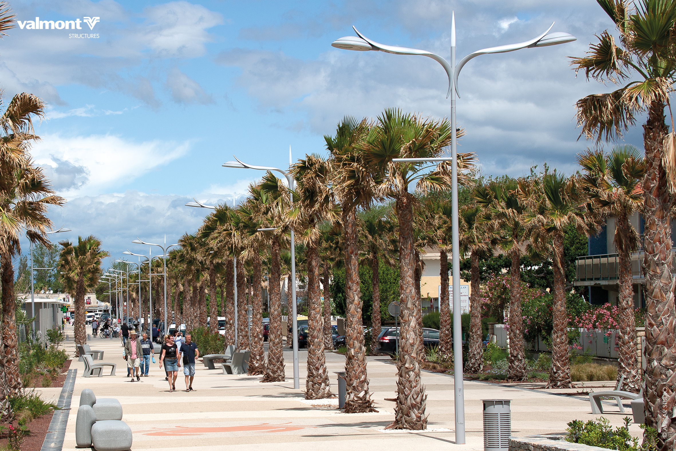 Palm'line