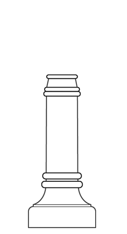 D21M